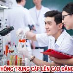 ho-so-lien-thong-trung-cap-len-cao-dang-duoc