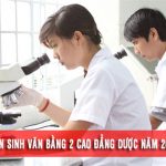 van-bang-2-cao-dang-duoc1