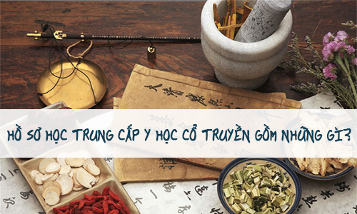 ho-so-hoc-trung-cap-y-hoc-co-truyen-gom-gi