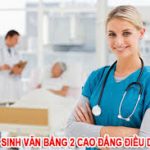 vb2 cao dang dieu duong