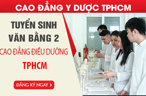 van-bang-2-cao-dang-dieu-duong-2