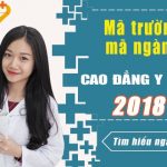 ma-nganh-ma-truong-cao-dang-y-duoc-tphcm-nam-2018