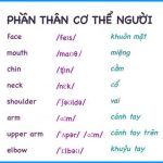 tieng-anh-cac-phan-than-co-the-nguoi-2