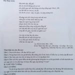 100848-de-van