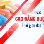 Dao-tao-van-bang-2-cao-dang-duoc-tphcm-pasteur-22-4-560x