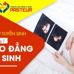 Ho-so-tuyen-sinh-cao-dang-ho-sinh-pasteur-18-2