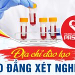 Dia-chi-dao-tao-cao-dang-ho-sinh-pasteur-20-6-560x