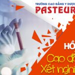 Ho-so-cao-dang-xet-nghiem-pasteur-16-8