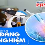 Ho-so-tuyen-sinh-cao-dang-xet-nghiem-pasteur-2-7-560x