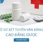 n-dao-tao-van-bang-2-cao-dang-duoc