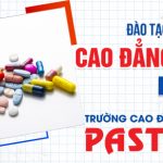 Dao-tao-van-bang-2-cao-dang-duoc-pasteur-31-5-560x