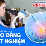 Ho-so-van-bang-2-cao-dang-xet-nghiem-pasteur-18-3