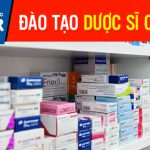 Dao-tao-duoc-si-cao-dang-pasteur-30-6-560x