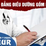 Ho-so-cao-dang-dieu-duong-gom-nhung-gi-pasteur-3-7